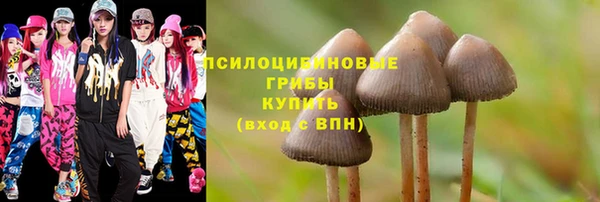 марки nbome Бородино
