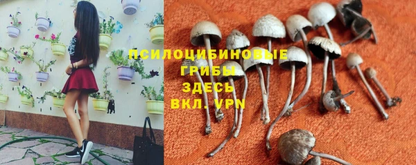 ПСИЛОЦИБИНОВЫЕ ГРИБЫ Бугульма