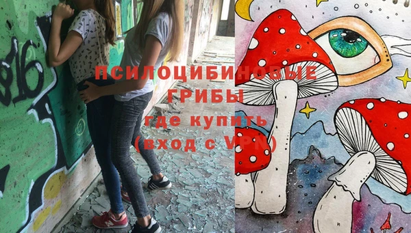 марки nbome Бородино